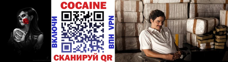 Купить закладки  Катав-Ивановск  Cocaine Fish Scale 