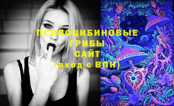 прущая мука Алзамай