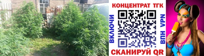 Купить где  Катав-Ивановск  Дистиллят ТГК вейп с тгк 