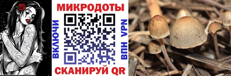 Купить где  Катав-Ивановск  Галлюциногенные грибы мухоморы 
